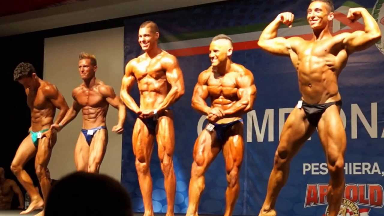 Young Italian Stallions