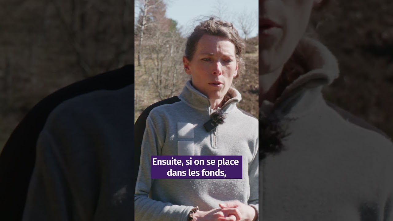 Retour sur les crues de février