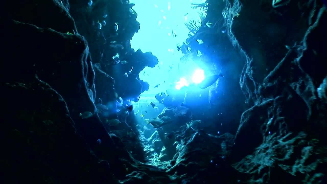 La Cité de la Mer : présentation des espaces de visite