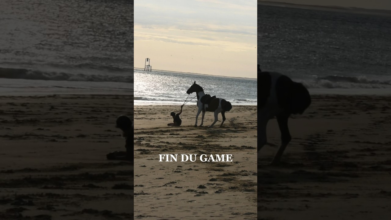 La chute de l’année 🙈💥 #cheval #chevaux #equitation #poney #cavaliers #horse #horseriding