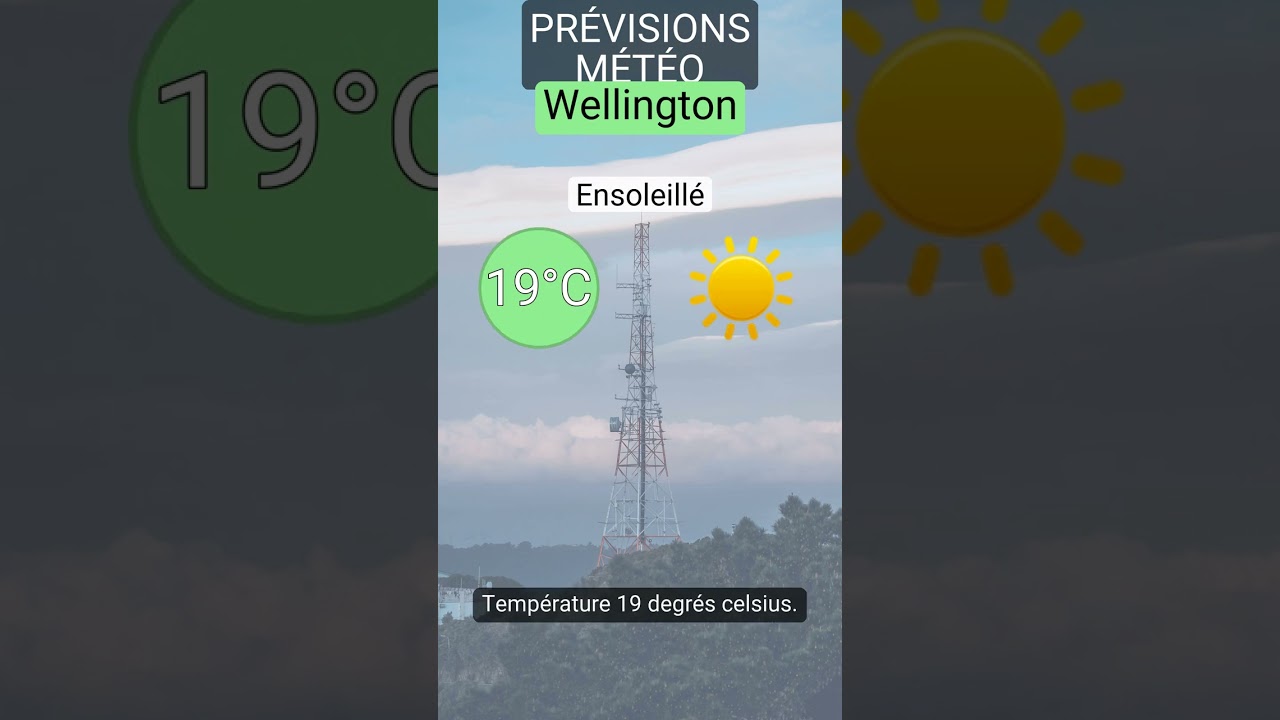 Votre mise à jour météo du 6 février 2026 pour Wellington