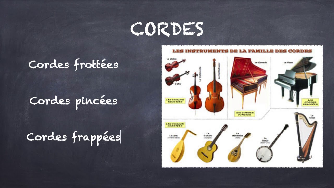 Les familles d'instruments
