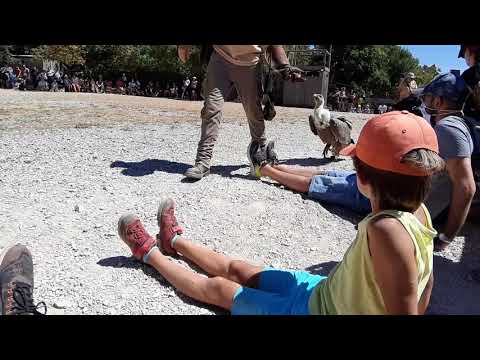 Rocher des aigles,  Rocamadour